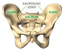 Sacroiliac Joint Dysfunction Ana Lipson MD Central Florida Pain Management, Winter Haven Florida 863-293-4800